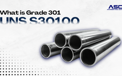 What is Grade 301 (UNS S30100)